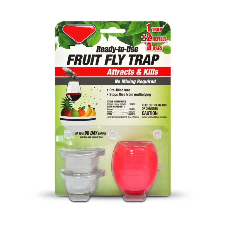 Fruit Fly Trap